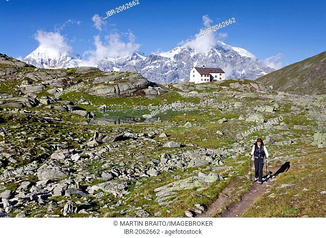 Hiker in front of Rifugio Serristori, Duesseldorferhuette cabin, view of Mt Ortles, Mt Monte Zebru and Mt Gran Zebru, above Solda, Sulden, Val di Solda