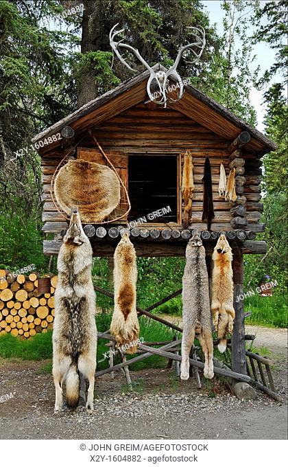 Traditional food cache, Athabascan, Chena Indian Village, Alaska