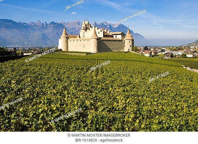 Chateau d'Aigle in the vineyards of Lausanne, Canton of Vaud, Switzerland, Europe