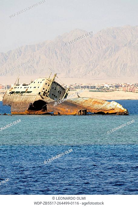 Egypt, Red Sea, Tiran Straight, Loullia shipwreck at Gordon Reeft