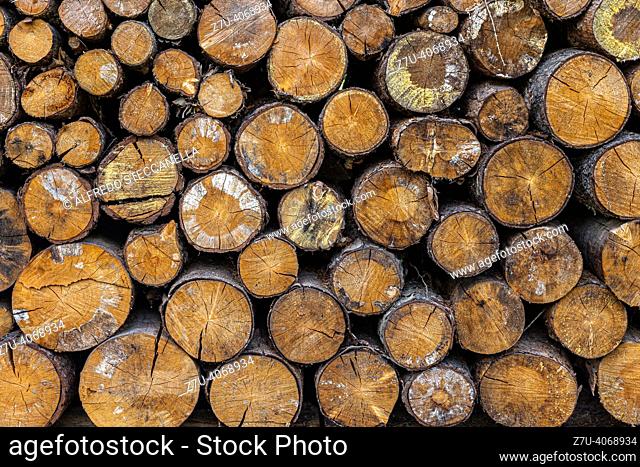 A stack wall of wooden logs texture background