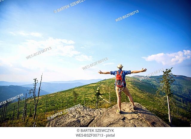 Rear view of hiker in mountains enjoying the view