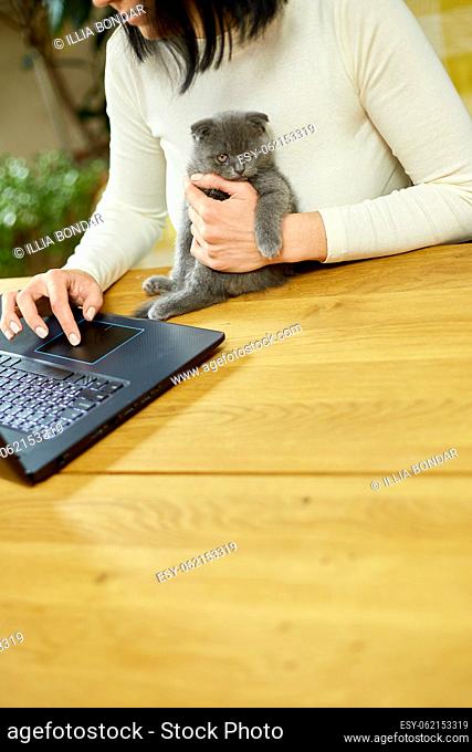 Unrecognizable hand Woman searching vet website on laptop to register cat kitten for veterinary consultation, Freelancer female working from home