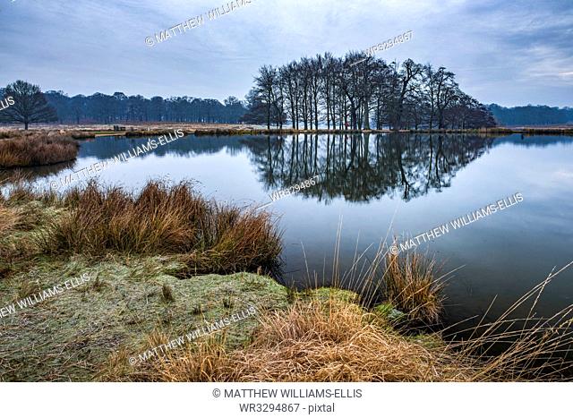 Pen Ponds, the lakes in Richmond Park, Richmond, London, England, United Kingdom, Europe