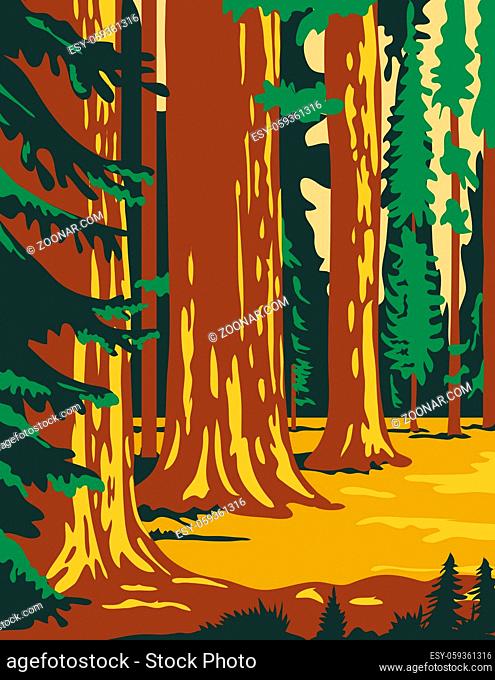 WPA poster art of the Sequoia National Park, an American national park in southern Sierra Nevada east of Visalia, California