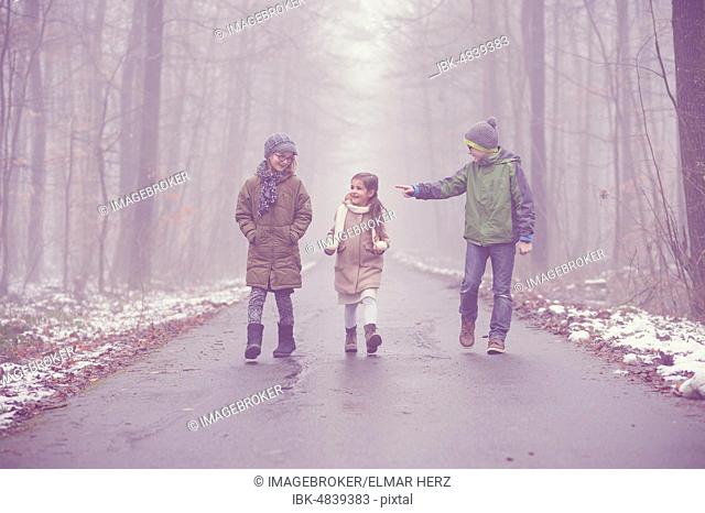 Three children, siblings walking in the woods in fog, winter weather, Baden Württemberg, Germany, Europe