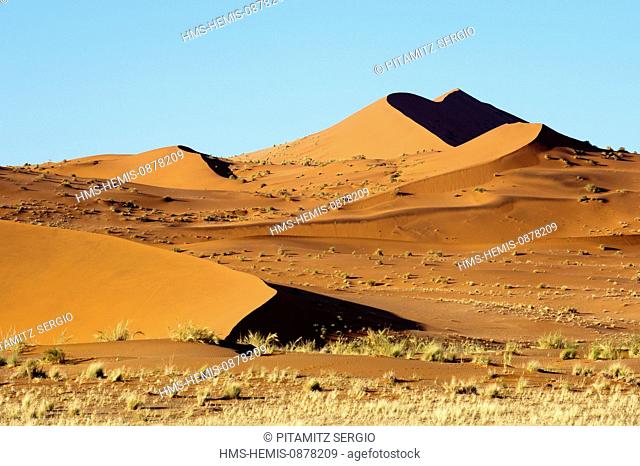 Namibia, Hardap region, Namib desert, Namib-Naukluft national park, Namib Sand Sea listed as World Heritage by UNESCO (aerial view)