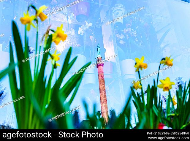 23 February 2021, Hessen, Darmstadt: Spring messengers are on Luisenplatz. The landmark of the city of science, the ""Long Ludwig"" is reflected in the window...