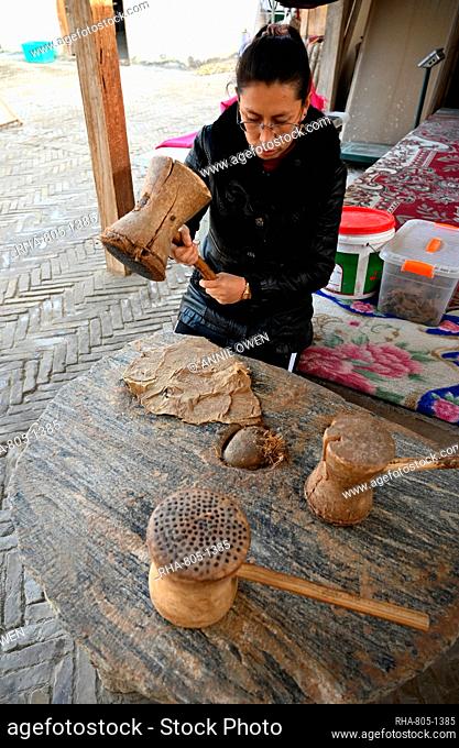 Uyghur woman beating boiled Mulberry bark with wooden mallet for paper making, Hotan, China, Asia