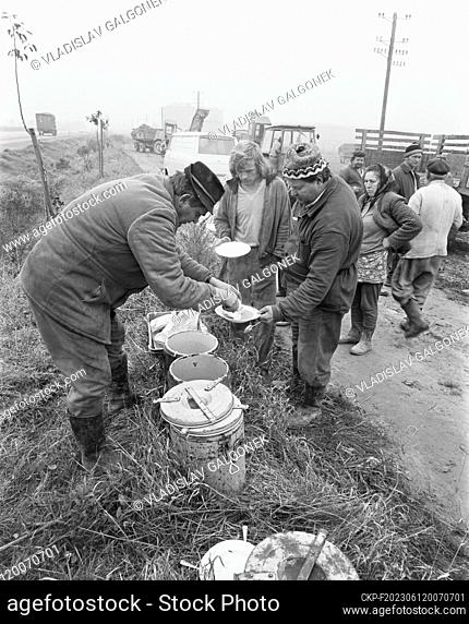 ***NOVEMBER 5, 2023 FILE PHOTO***Lunch of workers of Olomouc Machinery and Tractor Station harvesting sugar beet in Novy Dvur farm, November 5, 2023