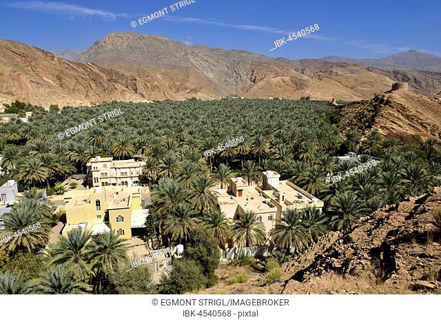 Birkat al Mawz oasis, Hajar al Gharbi mountains, Dakhiliyah, Oman