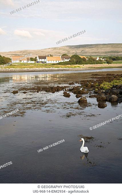 The coast at Ballyvaughan with views to the Burren, County Clare, Ireland