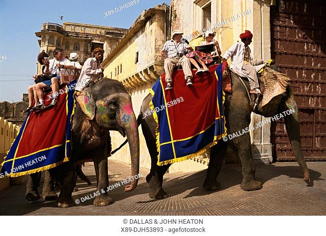 Asia, India, Rajasthan, Jaipur, Amber Fort, Elephant Rides
