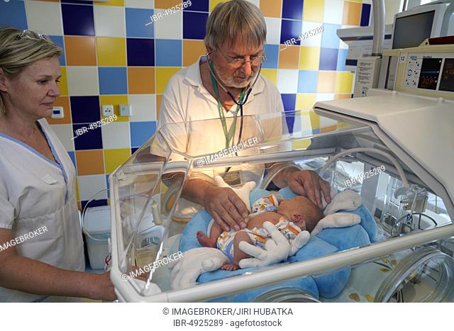 Doctor and nurse examining a newborn in an incubator, intensive care unit for newborns, Karlovy Vary, Czech Republic, Europe