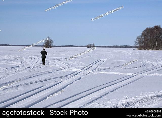Walking among snowmobile tracks on Lake Tämnaren, which in March is covered in ice and covered with snow