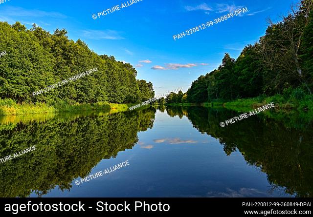 07 August 2022, Brandenburg, Berkenbrück: The late evening sun shines on the wooded bank on the Fürstenwalder Spree, a section of the approximately...