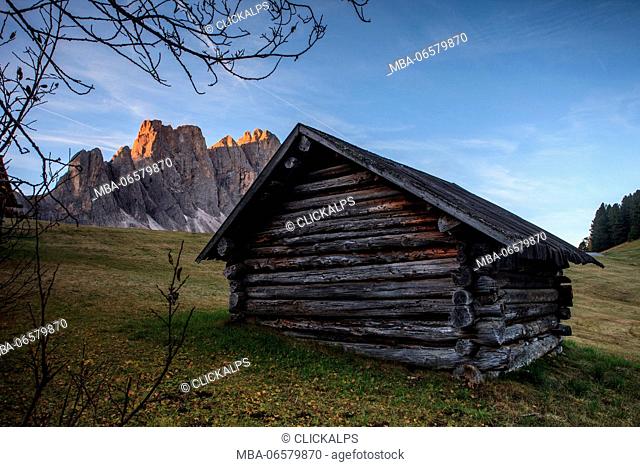 Dolomites, Malga Zannes, in the background the Odle, Trentino Alto Adige, Italy