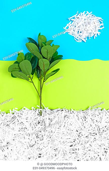 Green tree growing in recycled shredded paper under the blue sky. Recycling and environment conservation concept