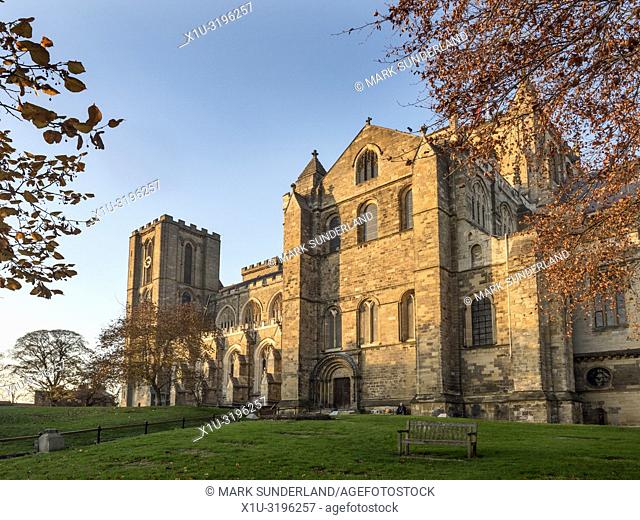 Ripon Cathedral at sunset in autumn Ripon North Yorkshire England