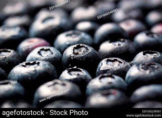 Closeup of fresh ripe blueberries on a black stone background with copy space, selective focus