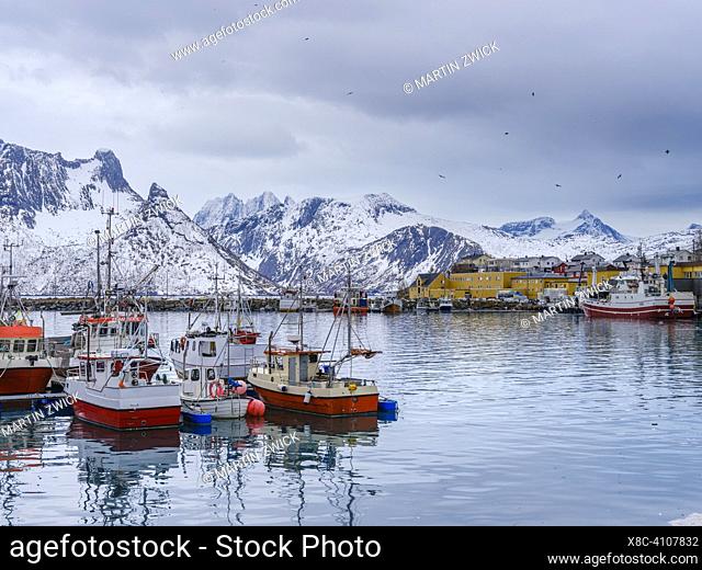 Village Husoy in Oyfjorden. The island Senja during winter in the north of Norway. Europe, Norway, Senja, March