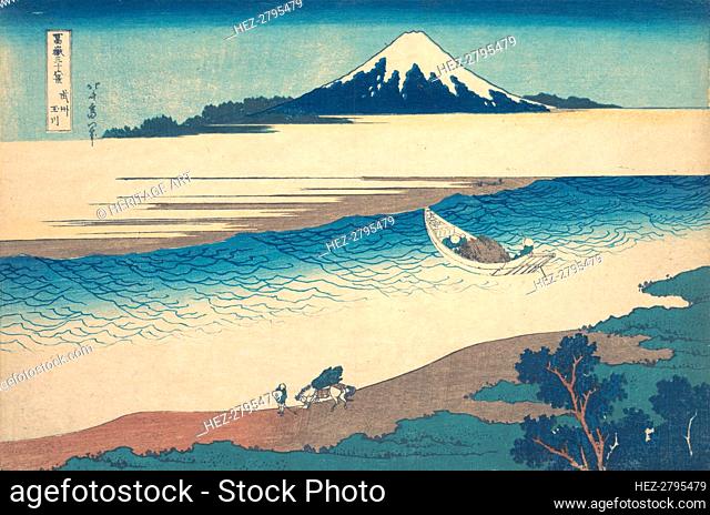 Tama River in Musashi Province (Bushu Tamagawa), from the series Thirty-six Views o.., ca. 1830-32. Creator: Hokusai