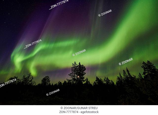 Nordlicht (Aurora borealis), Norrbotten, Lappland, Schweden, September 2015