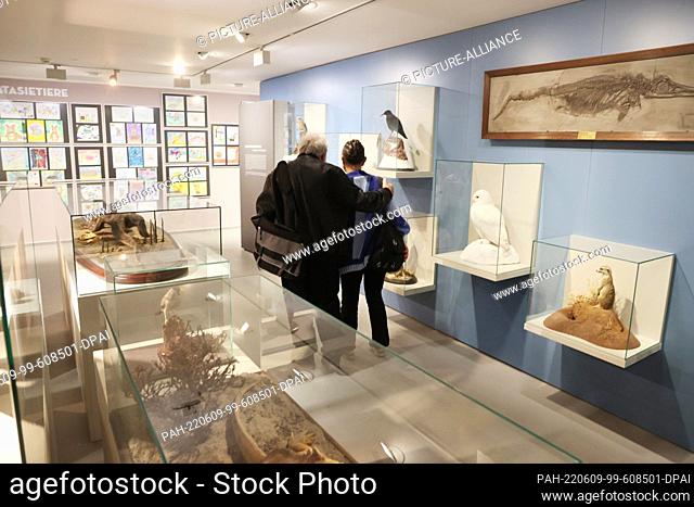 09 June 2022, Thuringia, Erfurt: Visitors stand in an exhibition room at the opening of the anniversary exhibition ""100 Years of the Natural History Museum""...
