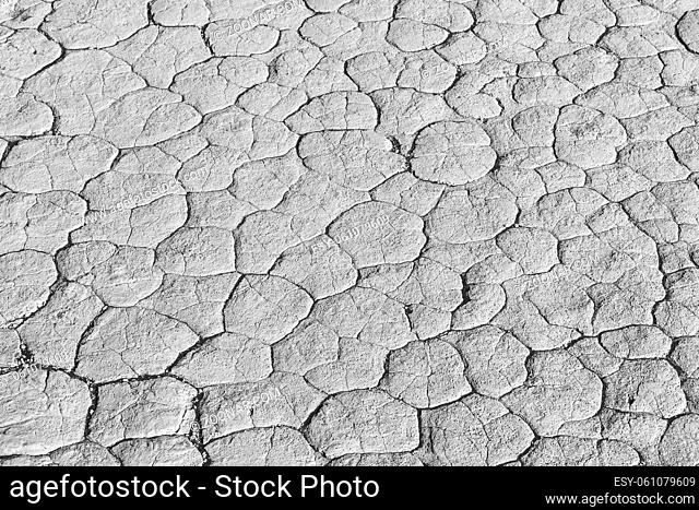 Monochrome clay texture of drying prism desiccation cracks in ground. Cracked and dried mud dirt background texture in the desert