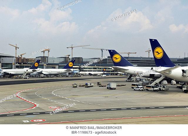 Several Lufthansa planes, Frankfurt Airport, Hesse, Germany, Europe
