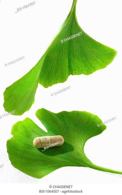 GINKGO BILOBA Leaves of Ginkgo biloba and Ginkgo biloba-based capsule