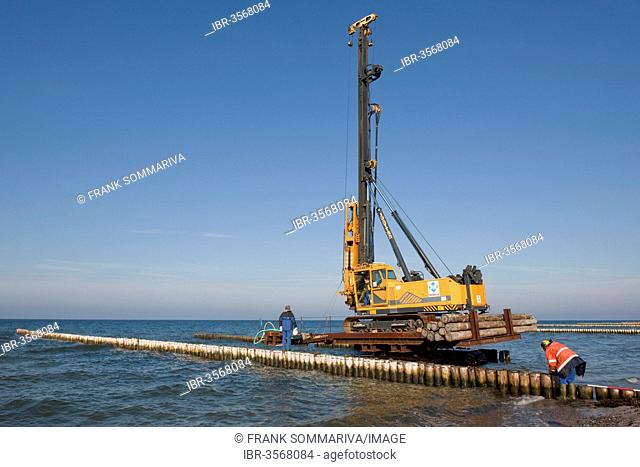 Construction of a groyne with wooden poles for coastal protection