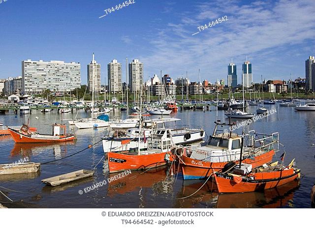 Puerto del Buceo. Río de La Plata, Montevideo, Uruguay