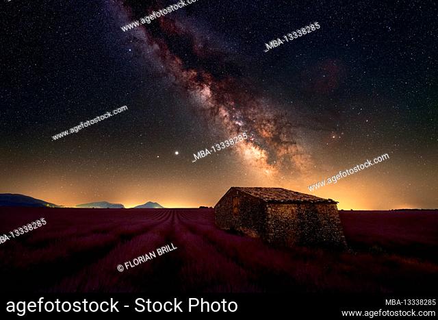 Milky Way over a stone hut in the middle of a lavender field in Provence