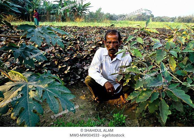 Nayakrishi new agriculture farmer Akkas Ali sits in front of his red spinach plot Gorashin, Tangail, Bbangladesh