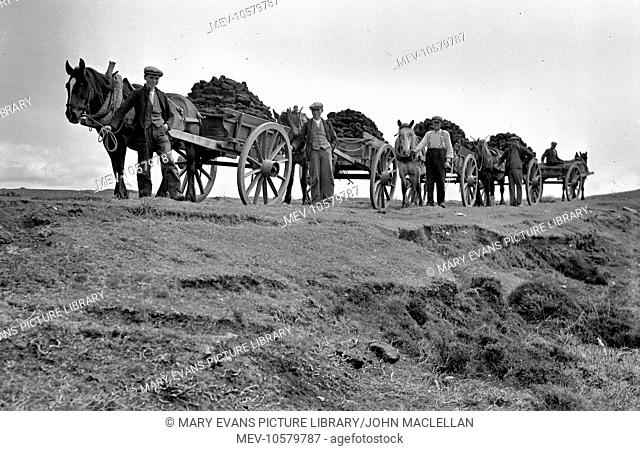 Horse-drawn carts transporting peat (cut turf) on the island of Benbecula, Outer Hebrides, northern Scotland