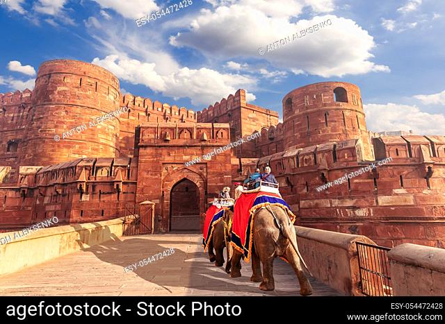 Agra Fort and elephants, view of India