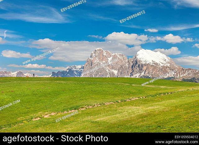 Alpine meadows on the Alpe di Siusi, South Tyrol, Italy