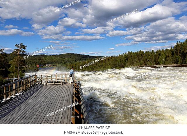 Sweden, Lapland, Norrbotten County, Storforsen waterfall, the biggest natural cataracts of Europe