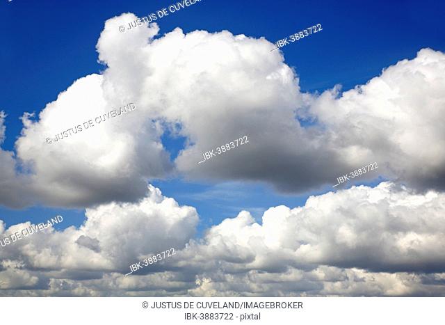 White clouds, blue sky, Schleswig-Holstein, Germany