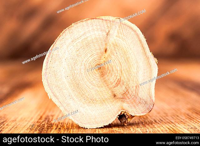 Texture of cross section wood logs. Pattern of juniper tree stump background. Circles juniper wood slice cross section with tree rings that show age organic...