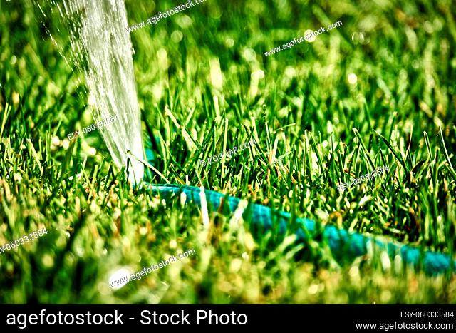 DIY lawn sprinkler working in grass, copyspace