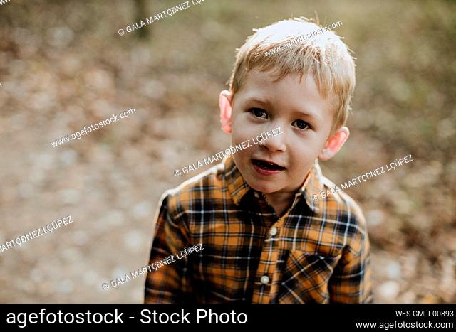 Cute boy staring while standing in forest