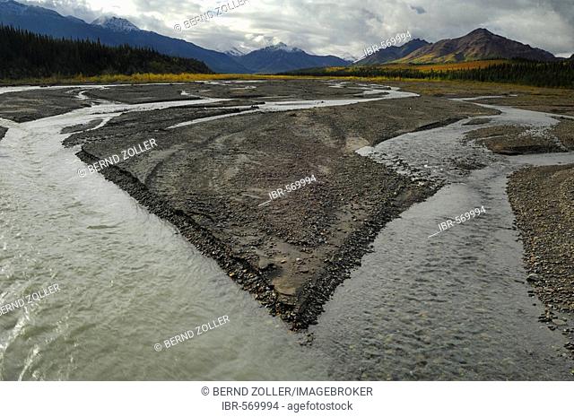 Teklanika River, Denali National Park, Alaska, USA, North America