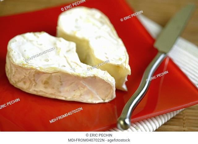 Farm-made Neufchâtel - Raw milk cheese - AOC