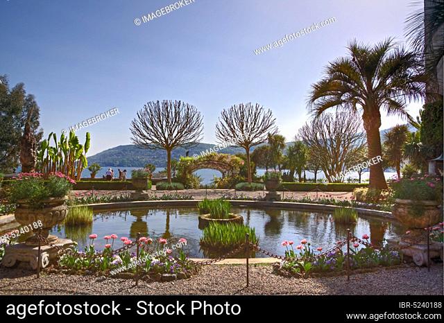 Pond, park, Isola Madre, Borromean Islands, Piedmont, Italy, Europe