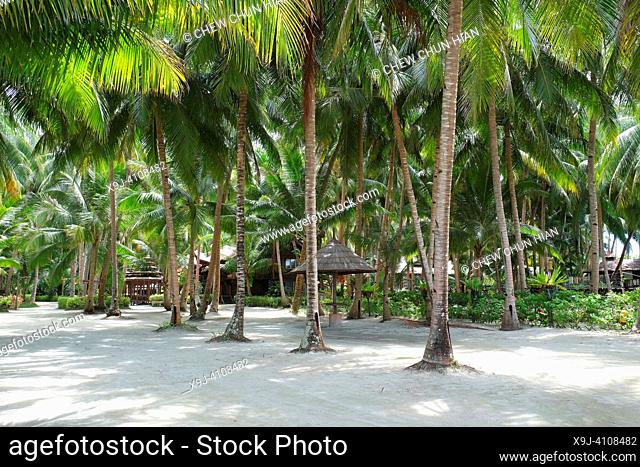 Mabul islands palm beach. The Mabul Islands are in the Celebes Sea off the coast of Sabah, Malaysia. The islands feature the palm-fringed beaches of Pulau Mabul...