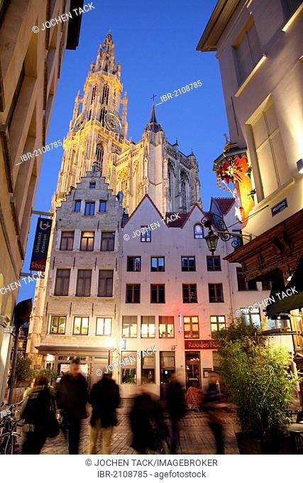 Guild houses, gabled houses, narrow alley, view of the cathedral, historic centre of Antwerp, Flanders, Belgium, Europe