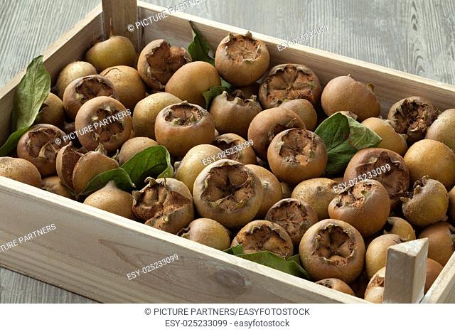 Fresh picked medlars in a wooden chest