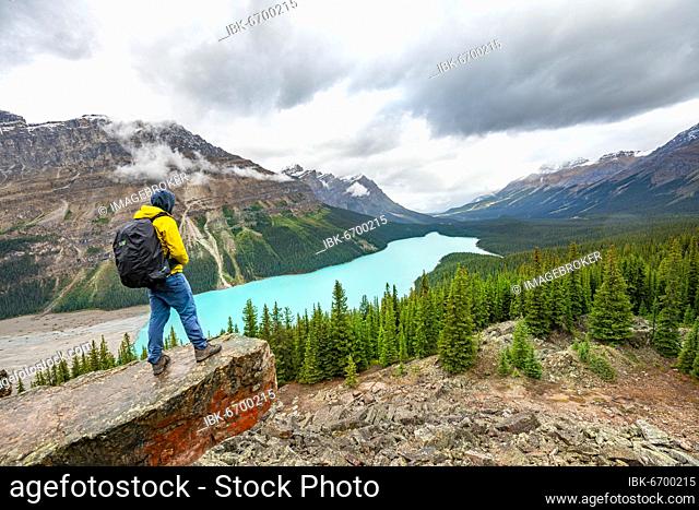 Hiker looking into the distance, view of turquoise glacial lake surrounded by forest, Peyto Lake, Rocky Mountains, Banff National Park, Alberta Province, Canada